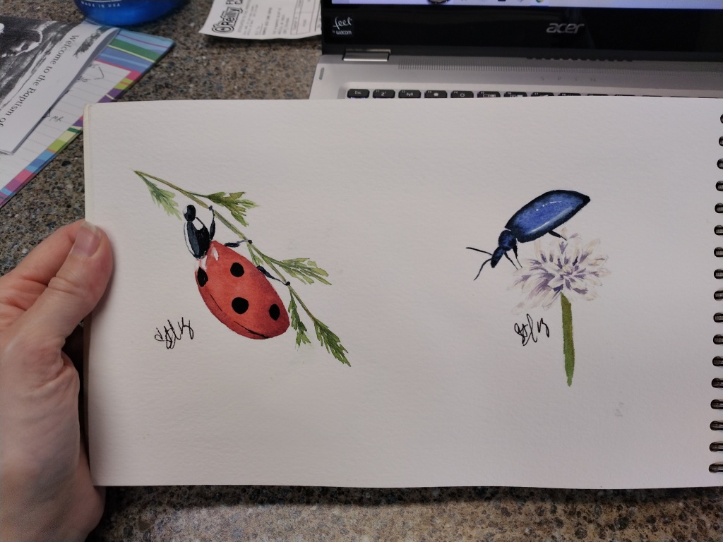 Lady bug and blue Beatle painted in watercolor.