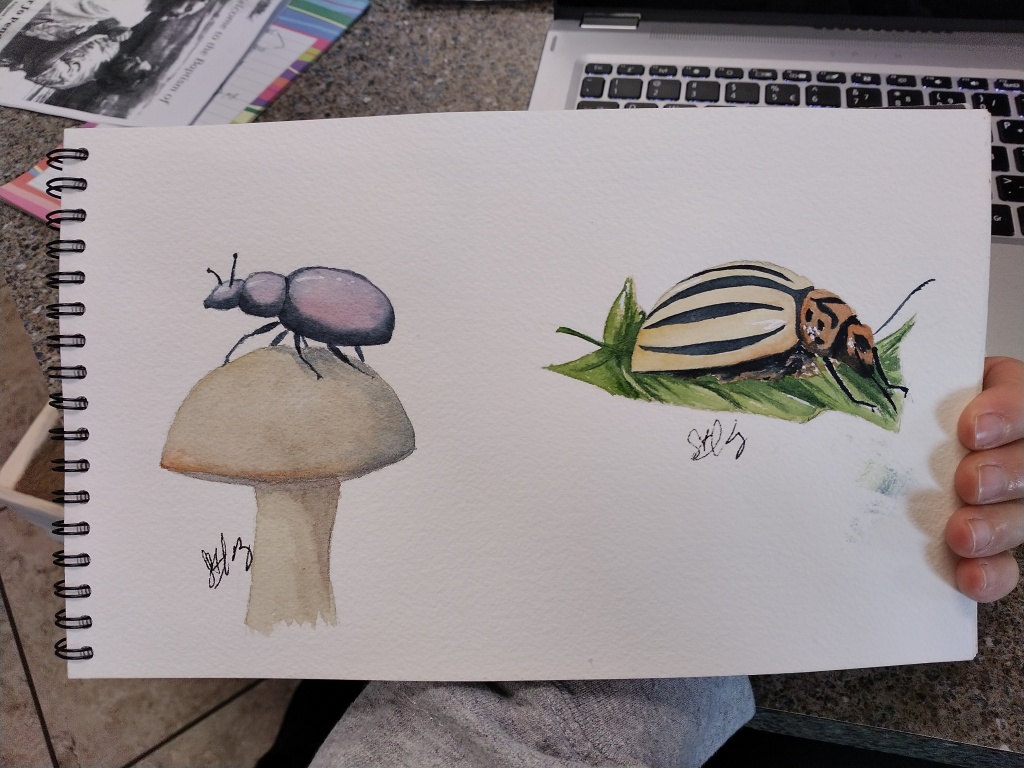 Purple Beatle and Yellow Beatle painted in watercolor