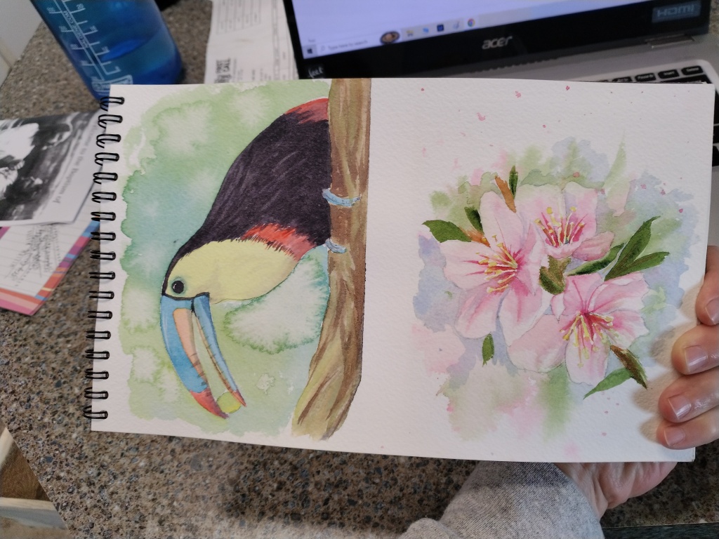 Toucan painted in watercolor.
Pink cherry blossoms painted in watercolor