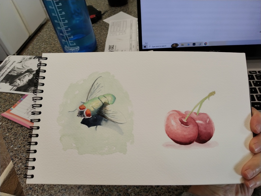 Housefly on leaf painted in watercolor.
Cherries painted in watercolor.
