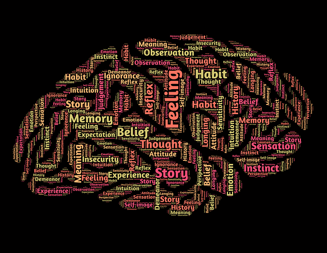 Picture of a brain made up of hundreds of words.  For example: Habit, feelings, belief, thought, story, experience, etc.